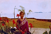 Panama-oldies-Col-69-18 32